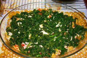 Melanzane alla Parmigiana
