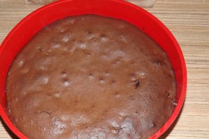 Tort de ciocolata cu fructe deshidratate si crema rapida