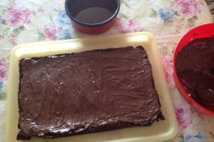 Tort Meda