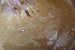 Tarta cu crema de caramel, mascarpone si caise-1