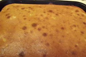 Prajitura cu piersici si nectarine