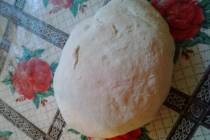 Paine de casa