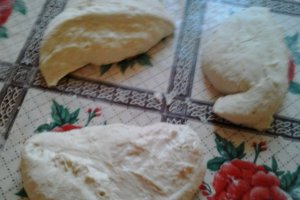 Paine de casa