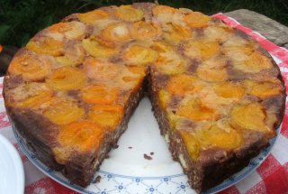 Prajitura cu branza si caise