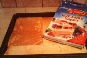 Prajitura  cu ananas si piersici