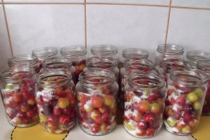 Compot de corcoduse