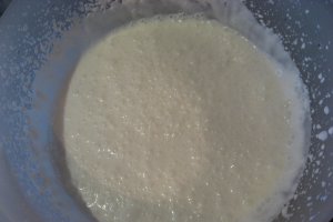 Panna cotta cu levantica