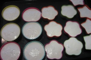 Panna cotta cu levantica