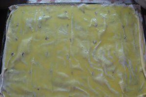 Prajitura ,, Gibanica,,
