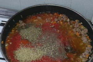 Lasagne cu carne