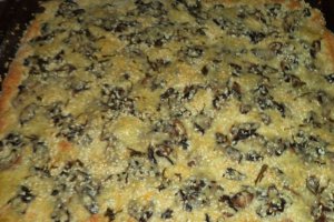 Focaccia cu ciuperci si cascaval