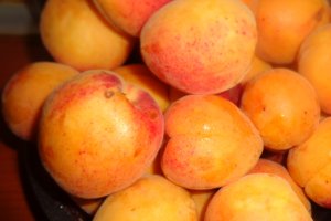 Prajitura turnata cu branza , caise si merisoare
