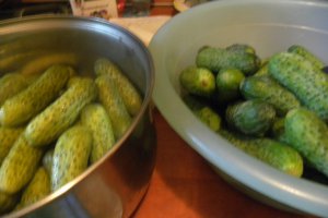Castraveti la otet dulci acrisori