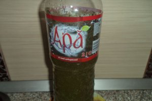 Suc de menta cu lamaie