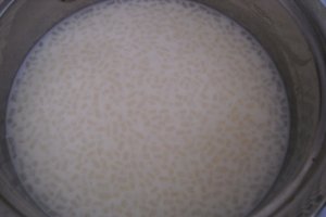 Budinca cu perle de konjac