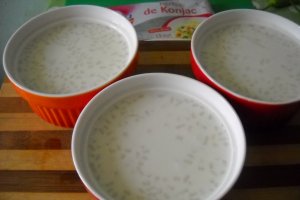 Budinca cu perle de konjac