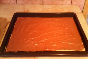Prajitura Furnicuta cu crema de ciocolata
