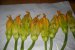 Flori de dovlecei pane-4