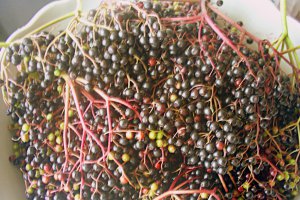 Dulceata fina din fructe de soc