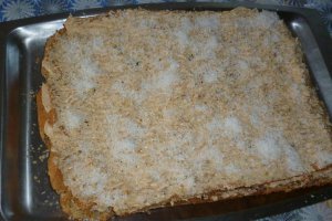 Prajitura cu crema de budinca si ness