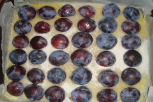 Prajitura cu prune