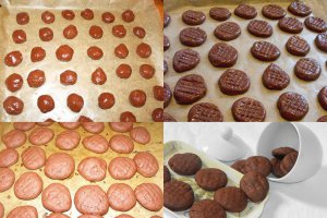 Biscuiti cacao