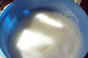 Pandispan cu ghimbir, scortisoara si prune