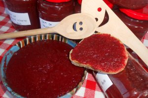 Gem de prune