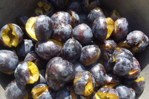 Gem de prune