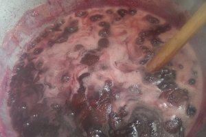 Gem de prune