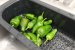 Pimentos de Padron-0