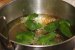 Pimentos de Padron-2