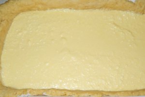 Prajitura cu branza si struguri