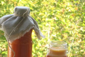 Sirop de catina