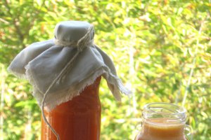 Sirop de catina