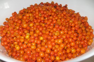 Sirop de catina