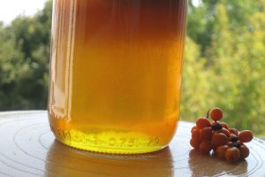Sirop de catina