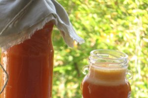 Sirop de catina