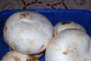 Ciulama de ciuperci