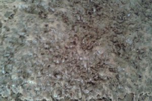Brownie cu nuci