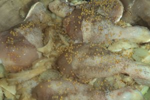Ciocanele de pui cu pleurotus la tigaie