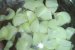 Ciocanele de pui cu pleurotus la tigaie-2