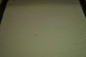 Prajitura cu mac si crema de ciocolata
