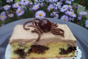 Prajitura cu mac si crema de ciocolata