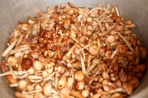 Zacusca de ghebe