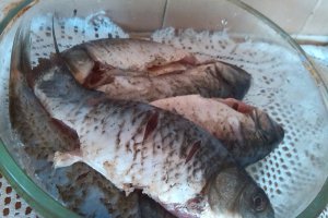 Peste la cuptor cu sos de iaurt