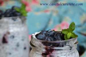 Budinca de chia cu lapte de cocos si afine
