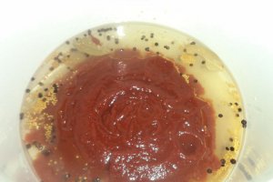 Gogosari in sos tomat