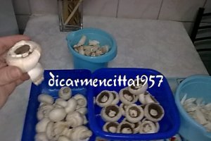 Ciulama de ciuperci champignion cu copanele de pui.
