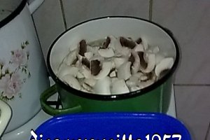 Ciulama de ciuperci champignion cu copanele de pui.